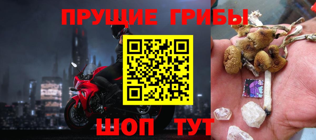 Бийск  как найти наркотики  Псилоцибиновые грибы Magic Shrooms  Вход с VPN  Галлюциногенные грибы Cubensis 